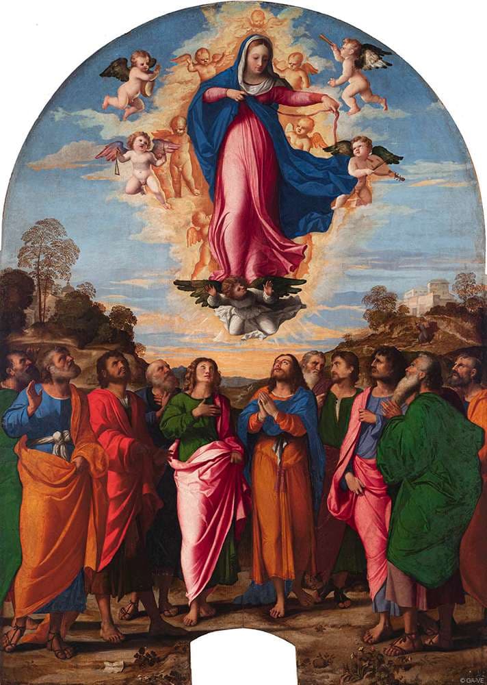 The Assumption of the Virgin — Palma Vecchio