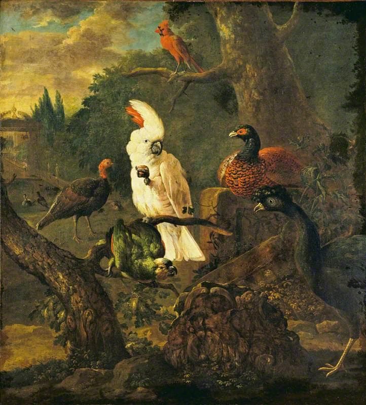 White Cockatoo and Other Birds — Willem Hendrik Wilhelmus van Royen