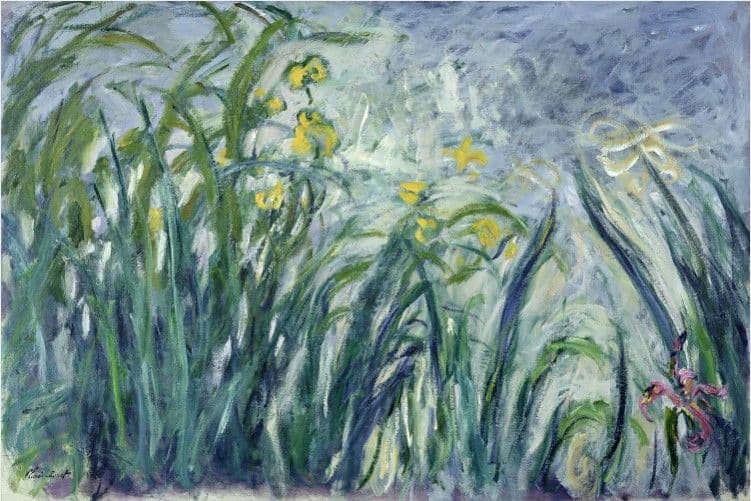 Iris jaunes et mauves — Claude Monet