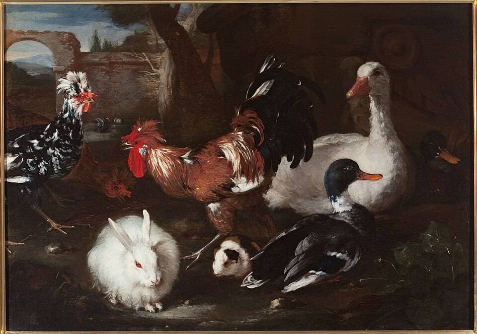 Fowl with a rabbit and guinea pig. — Attributed creator