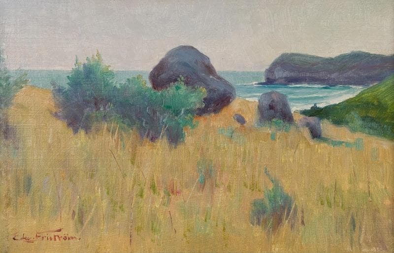 Piha Heads — Clas Edvard Friström