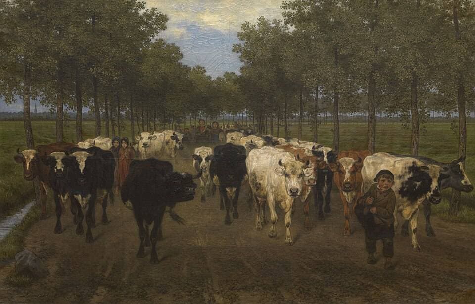 The Meersstraat in Ghent — Xavier de Cock