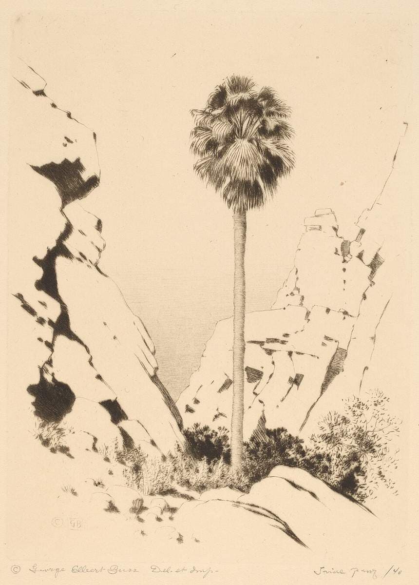 Palm Canyon (no.1) — George Elbert Burr