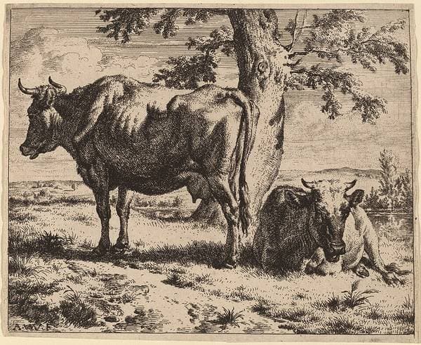 Two Cows under a Tree — Adriaen van de Velde