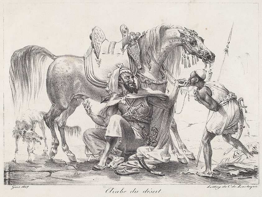 Arabe du désert (Desert Arab) — Antoine-Jean Gros