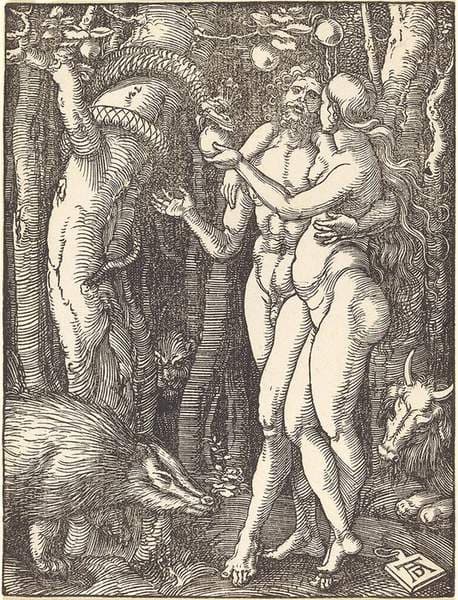 The Fall of Man — Albrecht Dürer