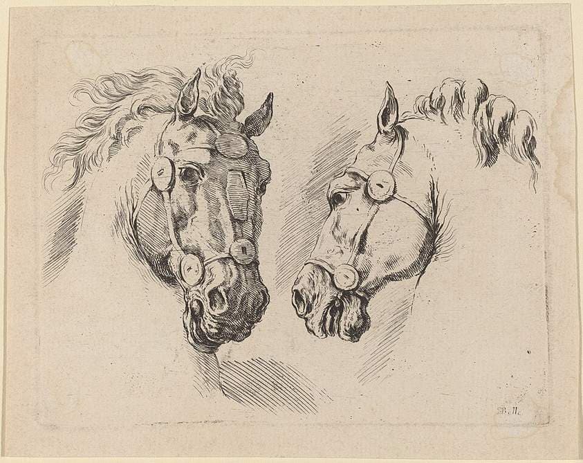 Two Horse Heads — Stefano Della Bella