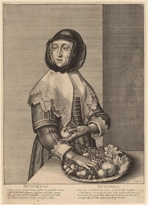 Autumn — Wenceslaus Hollar