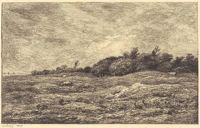 The Meadow at Grave, near Villerville (Le Pre des Graves, a Villerville) — Charles-François Daubigny
