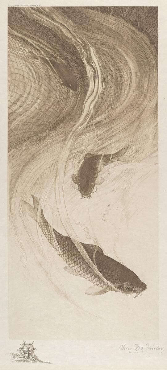 In the Meshes — Charles Frederick William Mielatz