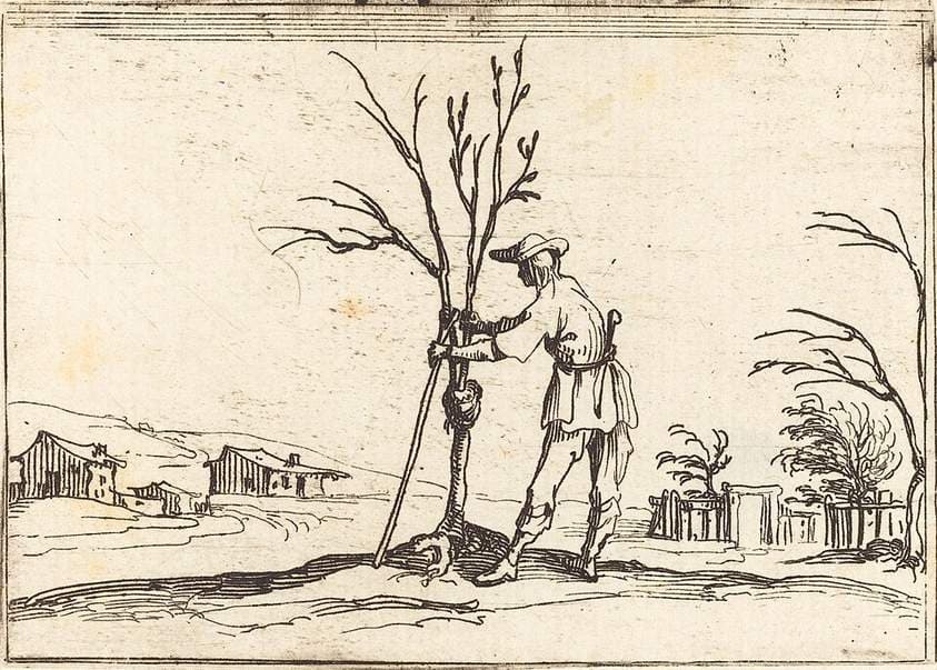 Gardener Pruning a Tree — Jacques Callot