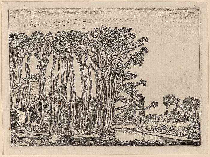 The Charcoal-Burner — Willem Buytewech