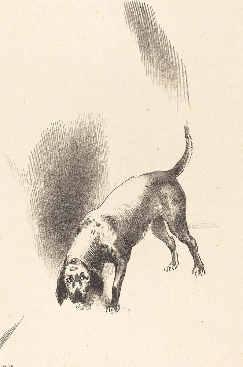 The Dog — Odilon Redon
