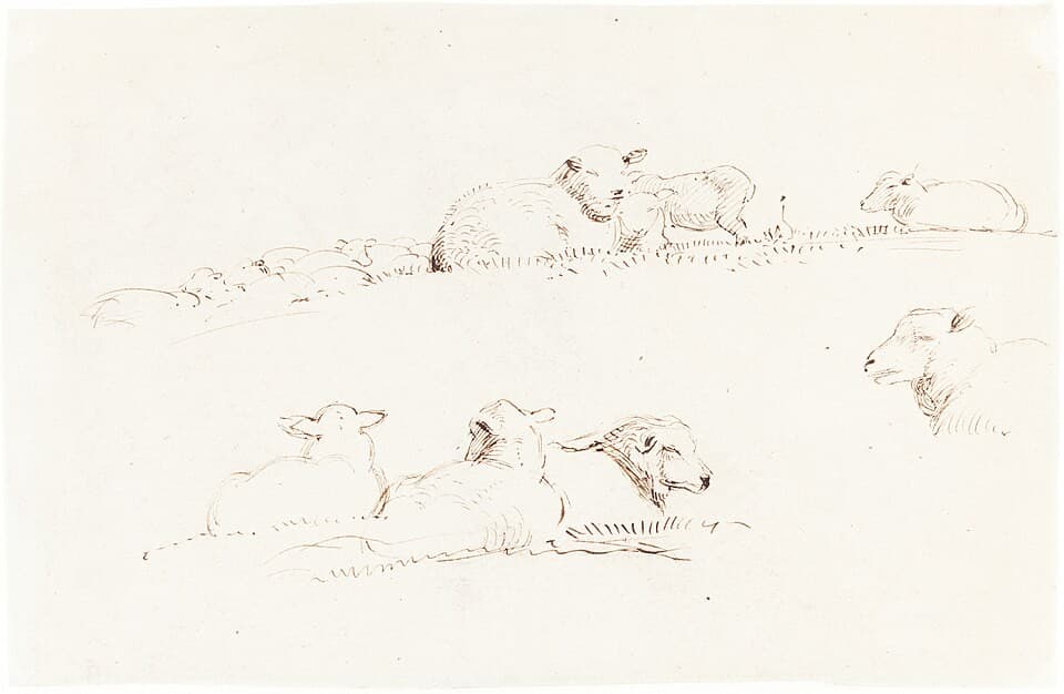 Studies of Sheep in Pasture — George Richmond