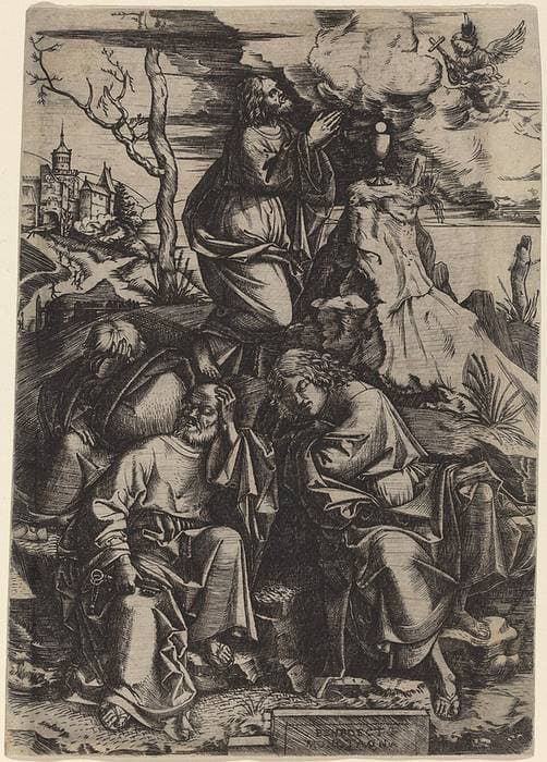 The Agony in the Garden — Benedetto Montagna