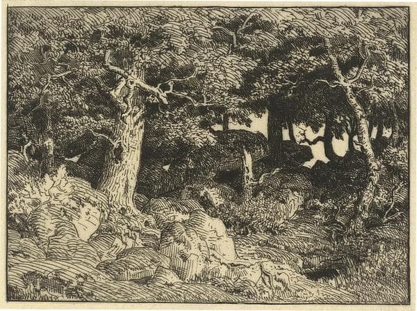 Chenes de Roche (Rock Oaks) — Théodore Rousseau