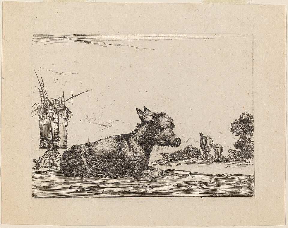 Donkey Resting — Stefano Della Bella