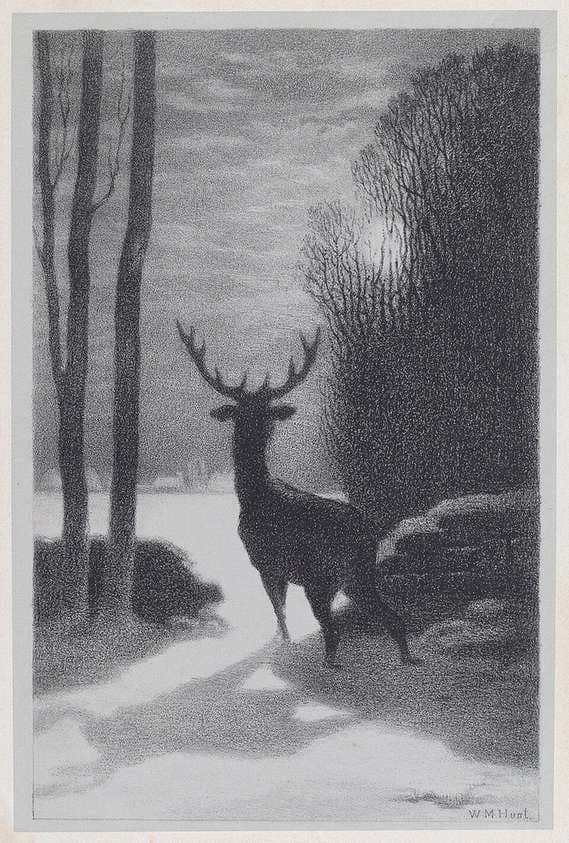 Stag in the Moonlight — William Morris Hunt