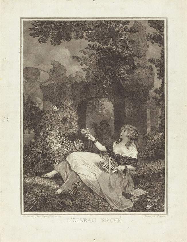L'Oiseau privé — Philibert-Louis Debucourt