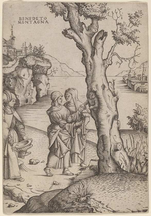 Birth of Adonis — Benedetto Montagna