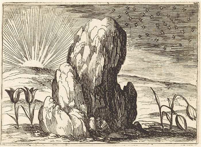 The Tulips and the Sun — Jacques Callot