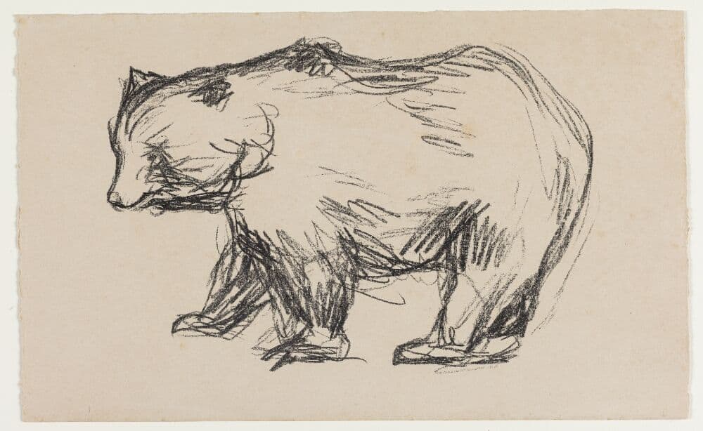 Bjørn — Edvard Munch