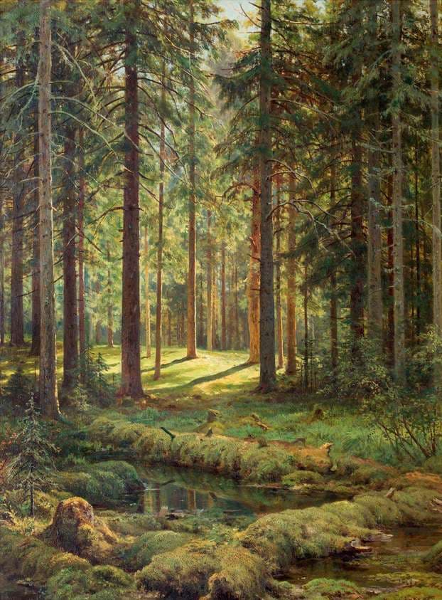 Хвойный лес. Солнечный день — Ivan Shishkin