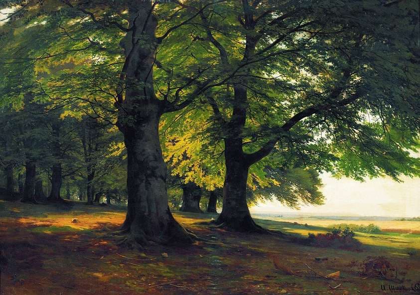 Тевтобургский Лес — Ivan Shishkin