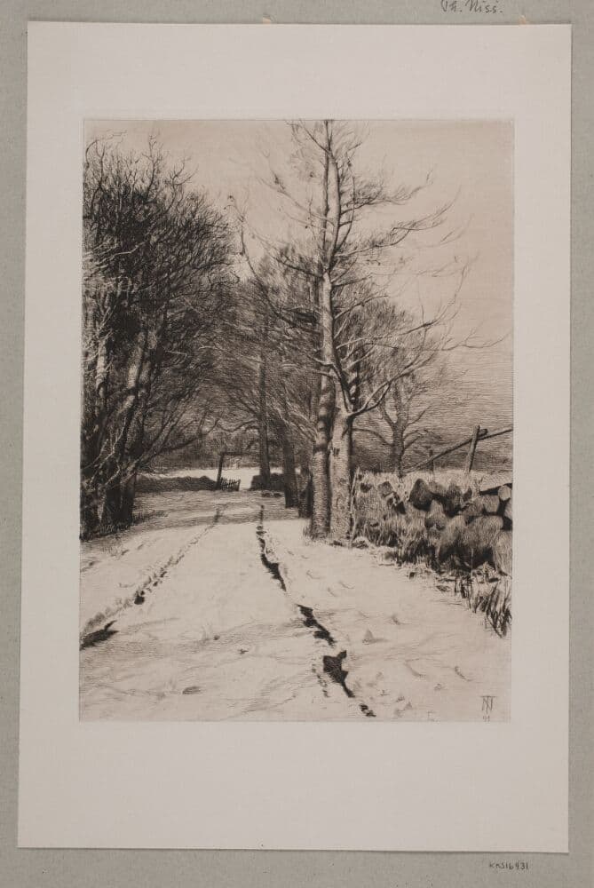 Vinterlandskab. Ved et skovhegn — Thorvald Niss
