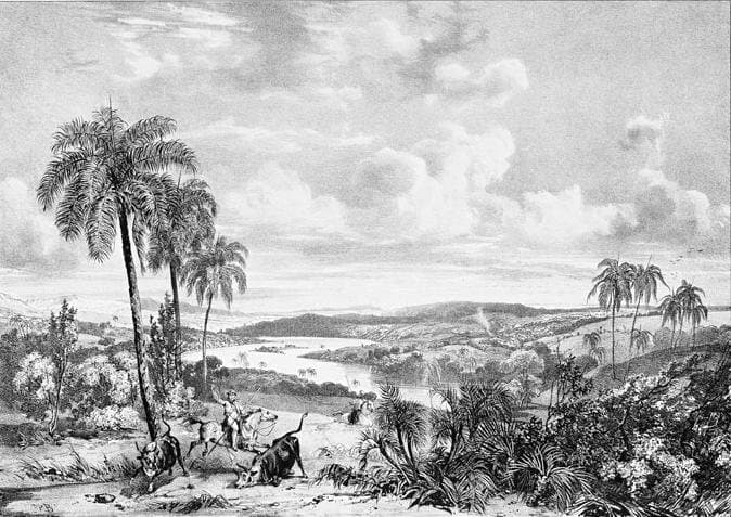 Green fields at the boards of Rio das Velhas — Richard Parkes Bonington